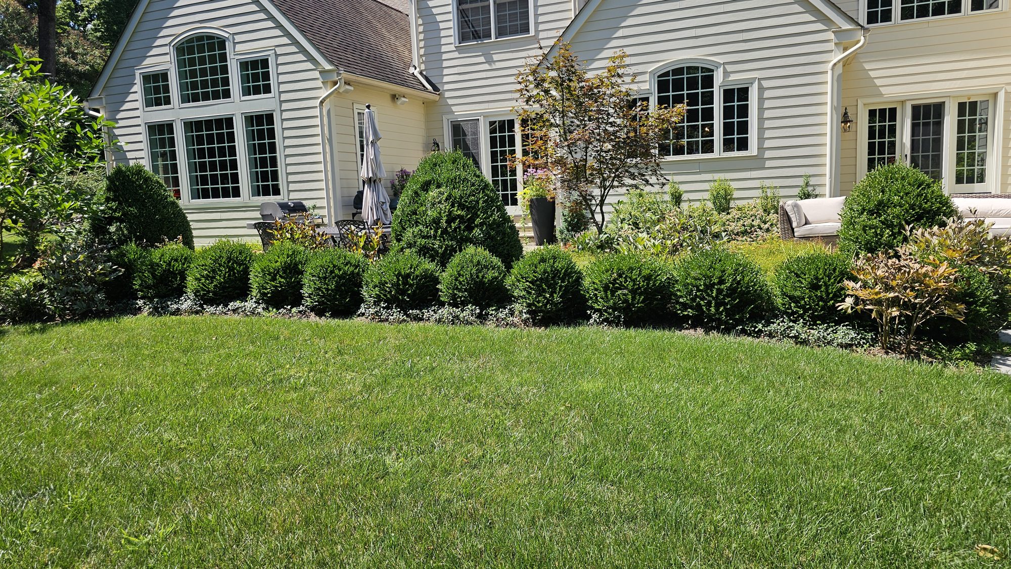Organixx landscape project: 241 Biddulph